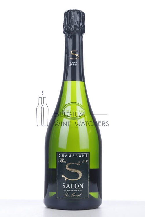 Image de 2004 SALON LE MESNIL